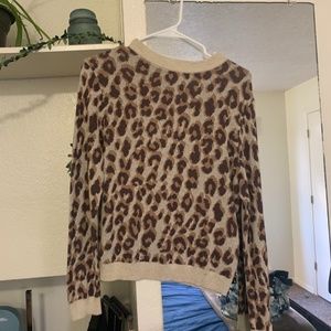 New Boundaries cheetah print